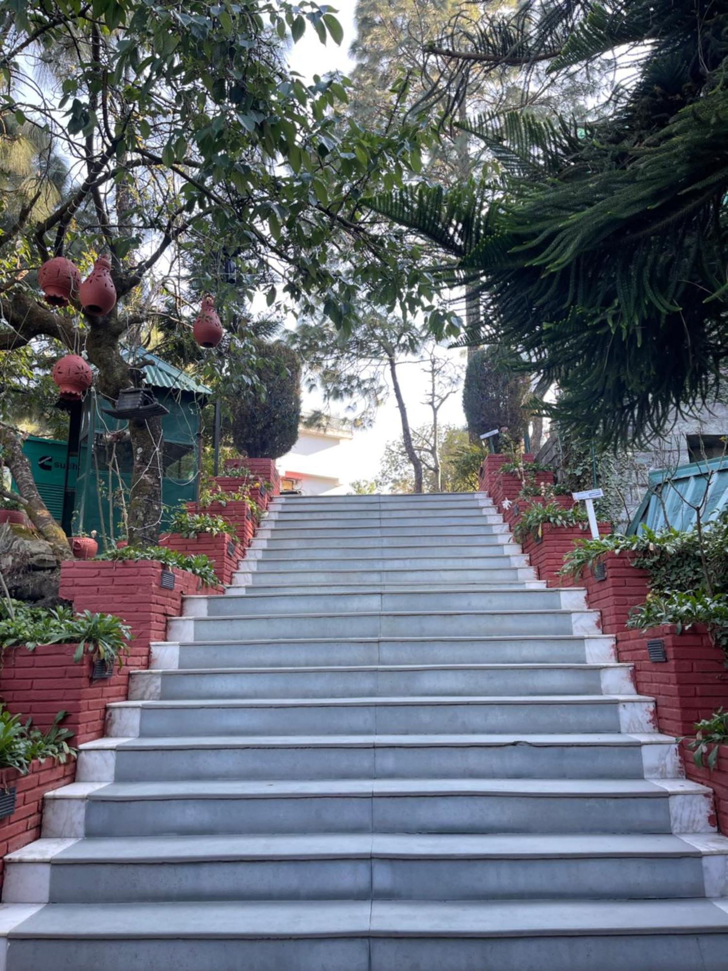Kasauli Castle Resort מראה חיצוני תמונה